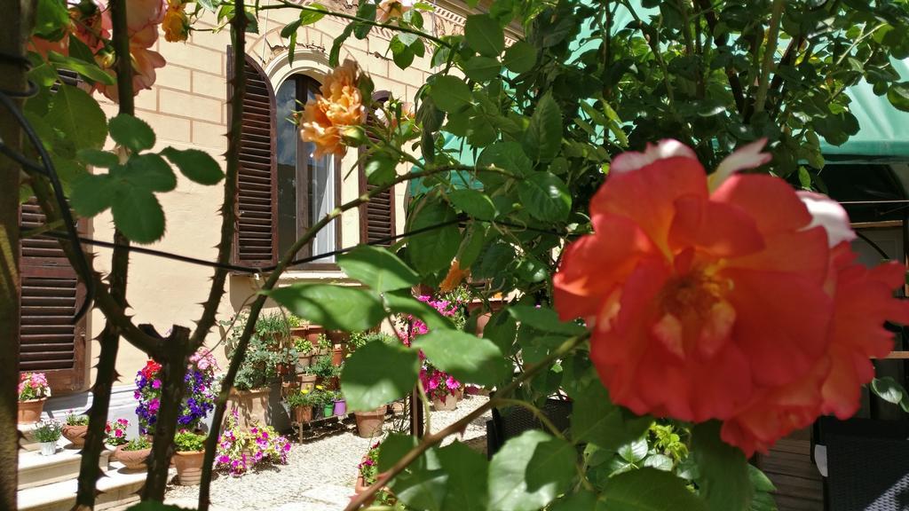 シエーナ ラ キッカ B＆B シエナ Bed & Breakfast エクステリア 写真